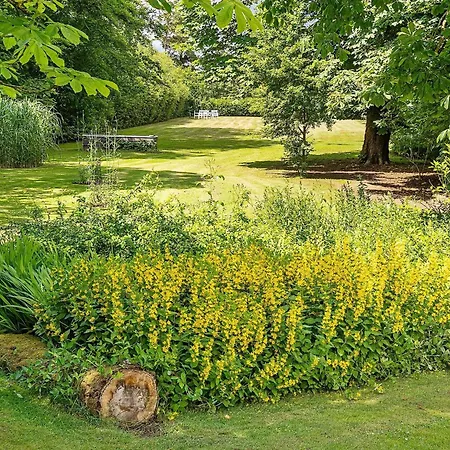 4 Star In Prázdninový dům *